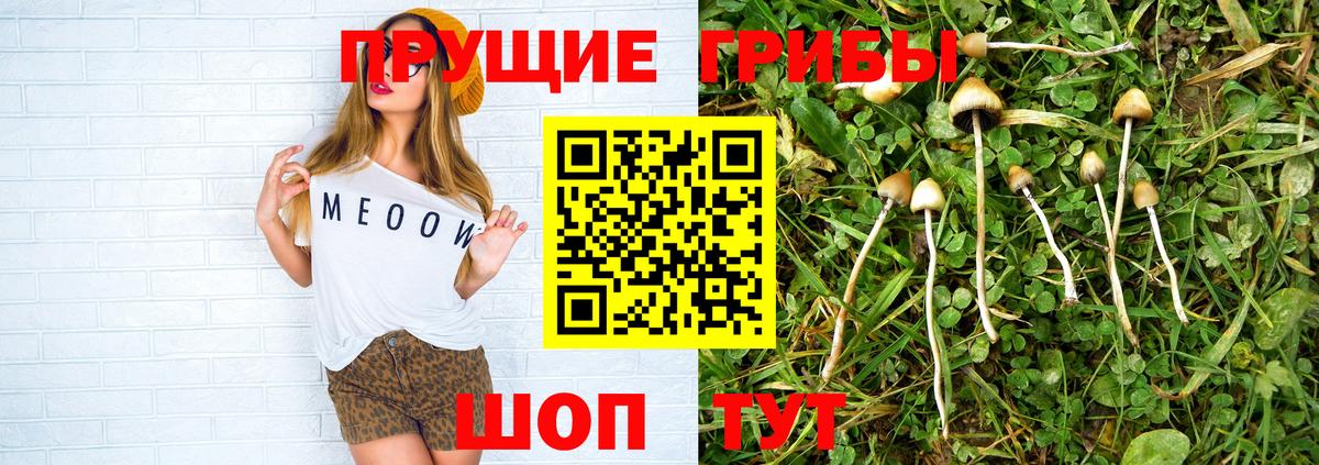 Краснокамск  Псилоцибиновые грибы прущие грибы  где купить наркотик  Вход с VPN  Псилоцибиновые грибы Psilocybe 