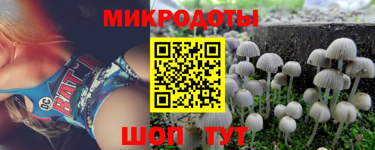 Галлюциногенные грибы мицелий Краснокамск